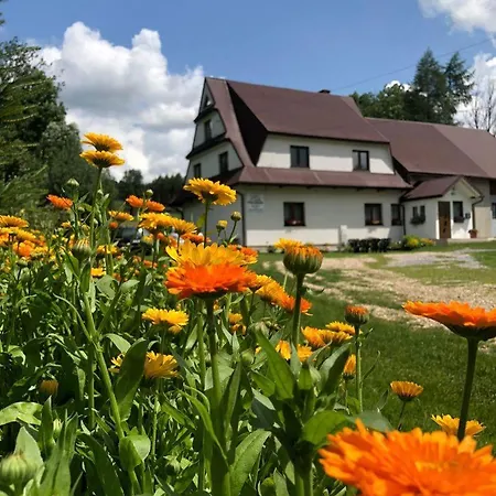 Cichy Zakatek - Noclegi Blisko Termy Chocholowskie Ciche  Exterior foto